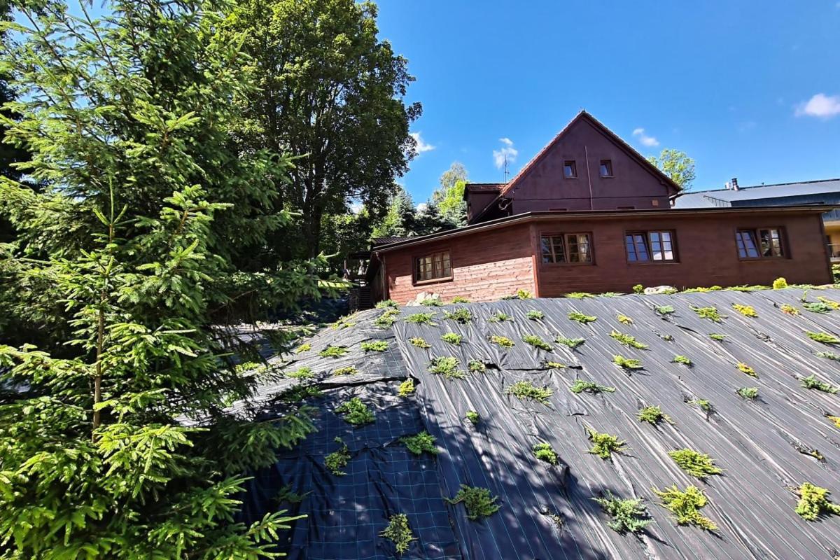 Penzion Harry Na Sjezdovce Krkonose Hotel Vysoké nad Jizerou Exterior foto