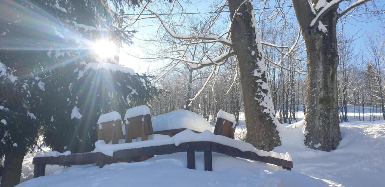 Penzion Harry Na Sjezdovce Krkonose Hotel Vysoké nad Jizerou Exterior foto