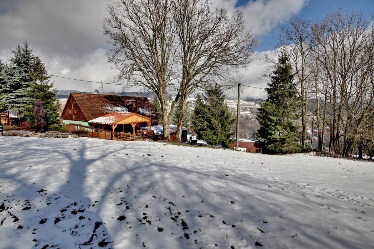 Penzion Harry Na Sjezdovce Krkonose Hotel Vysoké nad Jizerou Exterior foto